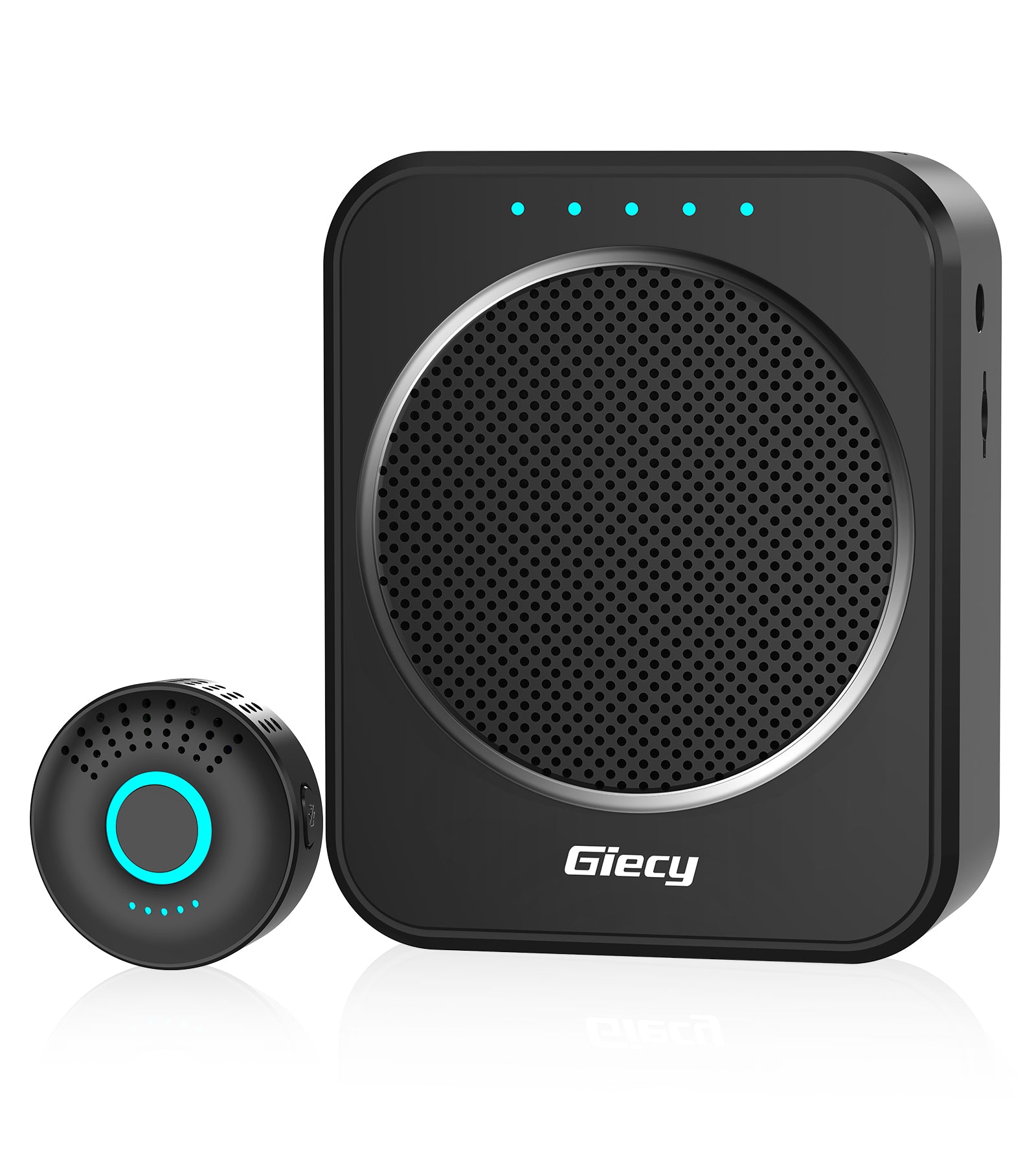 Giecy Portable Voice Amplifier with 2.4G Lavalier Microphone, 30W Bluetooth 5.3 Speaker, TF Card/USB/FM Radio/Recording for Teachers, Tour Guides, Presentations